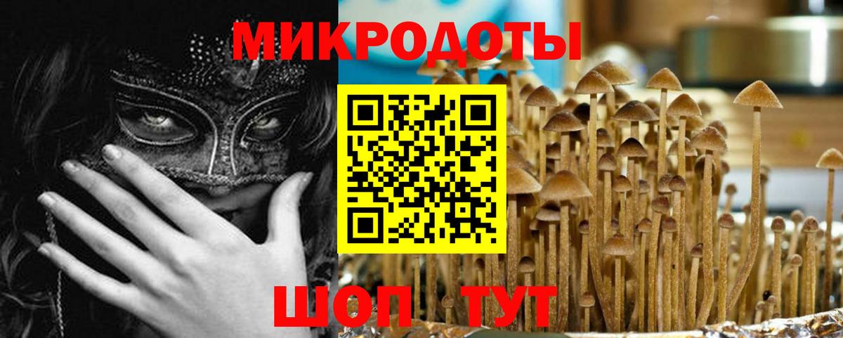 Кулебаки  Псилоцибиновые грибы Psilocybe  Вход с VPN 